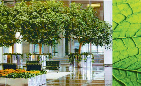 interior landscaping office indoor office sign store foliage design services provide professional interior plantscapes in many cities throughout the us services include design interior plants commercial landscaping landscape interior landscaping office indoor office sign store foliage design services provide professional interior plantscapes in many cities throughout the us services include design interior plants commercial landscaping landscape